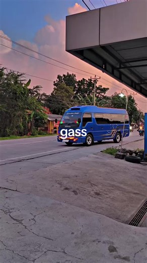 Prenjak Elp Pwd: A 2013 Musical Journey