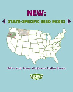 32 reactions | Designed for YOUR state, crafted by experts. Our new Proven State Wildflower Seed Mixes feature wildflowers sure to thrive in your state’s unique growing conditions. Shop today! | American Meadows | Facebook