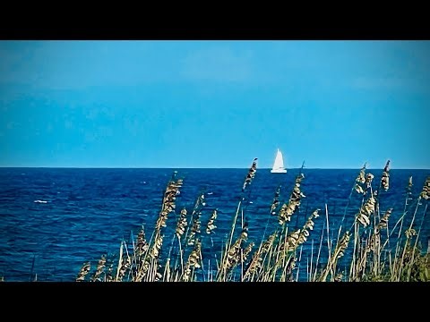 Windy Waves in Nags Head, Outer Banks, NC (Aug 2025)