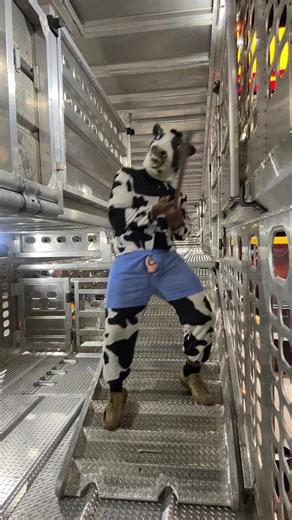 Dancing Cow #fyp #foryoupage #funny #blowthisup #viral | cow