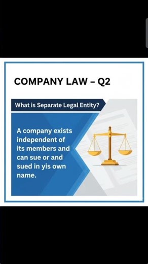Separate Legal Entity Explained in 10 Seconds