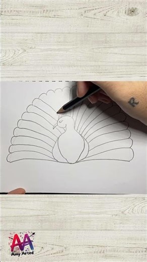 Easy Peacock Drawing Step by Step 🦚