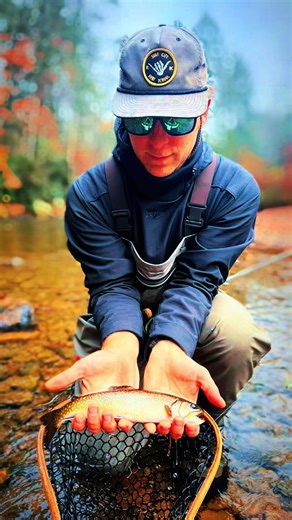 Spring Fly Fishing Adventures in Maggie Valley
