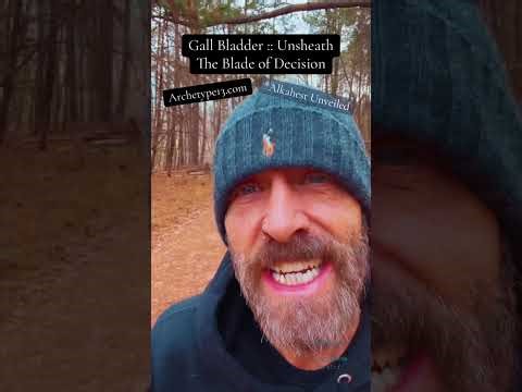 Gall Bladder :: Unsheathe the Blade