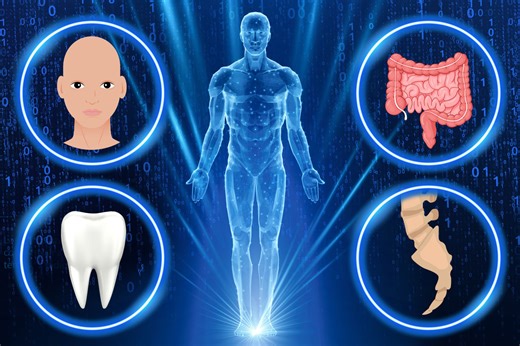 Future humans ‘will be hairless & lose 4 body parts' thanks to modern lifestyles