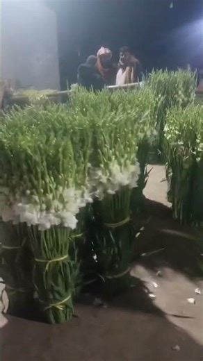 Fresh Flowers Market 🌹 | Nizam Pura Flower Commission Shop | Wholesale & Retail