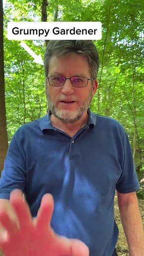 How to Treat Brown Spots on Hydrangea Leaves