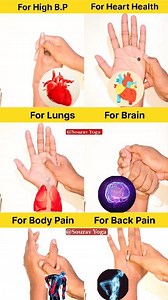 6 Amazing Acupressure Points ✅️ Try Those Acupressure Massage 2 Minutes Daily Good For For High B.P For Heart Health For Lungs For Brain For Body Pain For Back Pain Sourav Yoga #highbp #hearthealth #lunges #bodypain #yogainspiration #healthylifestyle #Acupressure #acupuncture #massage #braih #brainhealth #migraine #painrelief #backpain #highbloodpressure #organic #stress #reels #viral #trend #Reel #virals #fblifestyletyle #trendingreels #explorepage | Sourav Yoga