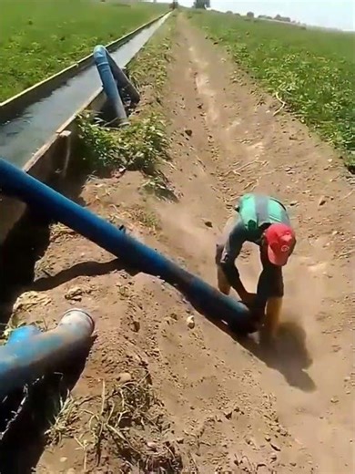 Siphon irrigation process for vegetable fields