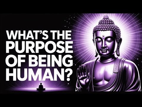 What is the purpose of being Human? Life purpose explained