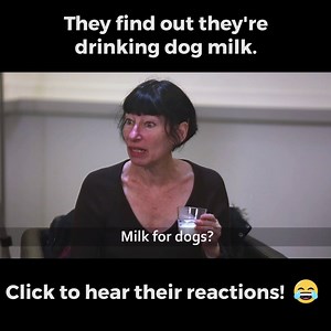 2.6M views · 18K shares | They think they’re testing a new brand of dairy  | peta2 | Facebook