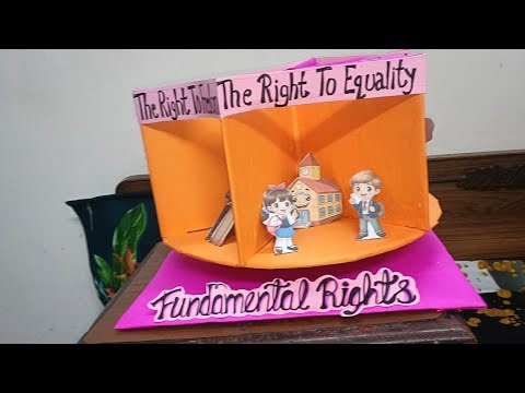Model of fundamental rights