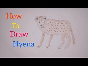🐺how to easy draw hyena step by step.