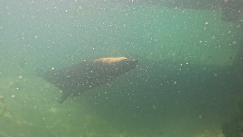 5K views · 49 reactions |  We’re taking the opportunity this...