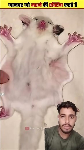 Acting like killing animals ( Part 2 ) #shorts #shortsvideo ||