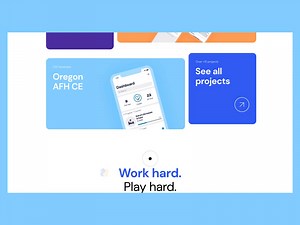 Software Developer Website Interaction