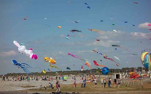 8 différents types de cerfs-volants et comment les piloter | Objectif Plein Air