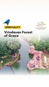 GEV Vrindavan Forest is our earnest humble offering to be a place to remember Sri Vrindavan Dham -- Radhanath Swami #Vrindavanforest #ISKCONGEV #Govardhanecovillage | Govardhan Ecovillage