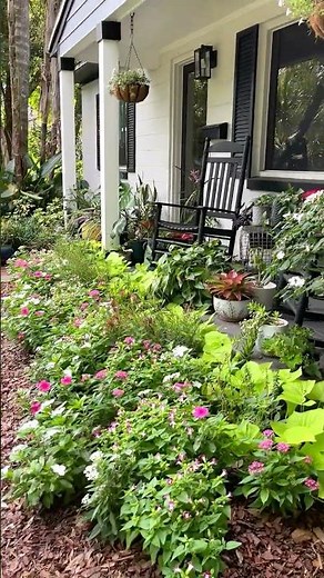 These Flowers LOVE the Summer Heat and Humidity! ☀️🌸
