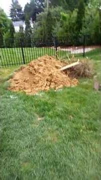 Someone came and destroyed my back yard!