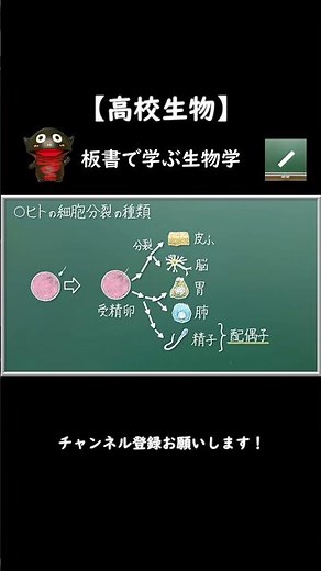 体細胞分裂と減数分裂とは？【52生物基礎】新課程対応 #shorts