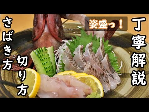 カサゴのさばき方と刺身の作り方/三枚おろし/湯引き/皮引き/姿盛