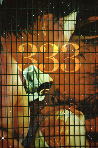 Your Full Guide to Angel Number 333