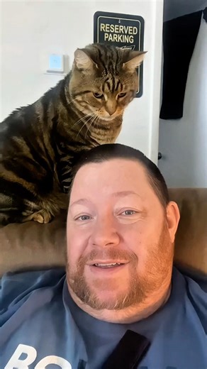 Grumpy Cat Gone Wild 😾💥 #GrumpyCat #FunnyCats #AngryCat #PetsOfTikTok