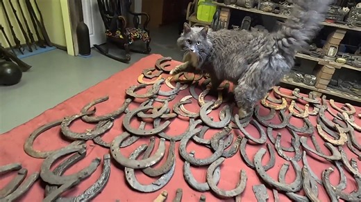 People keep calling it an ox shoe – then he shows why it’s just a broken horseshoe