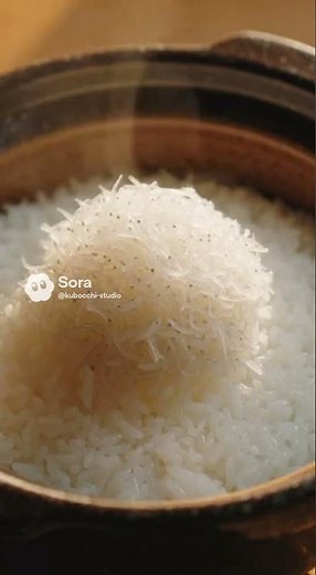 こっそり教わった"究極の釜揚げしらす丼" | 愛知・知多半島の浜辺に佇む「海辺の台所」#しらす丼 #知多半島 #愛知グルメ #釜揚げしらす #ai動画 #sora #料理映像 #shorts