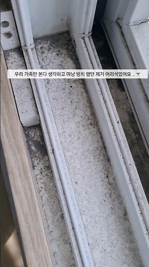 창틀 실리콘곰팡이 청소|다이소 실리콘곰팡이 제거제 추천
