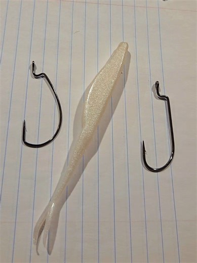 Do you ever wonder why you loose so many fish, fishing a fluke style bait? EWG vs offset hook make a world of difference. #zoom #fishing #bassfishing #fyp #outdoor