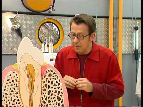 How does a tooth become loose? - It's not rocket science