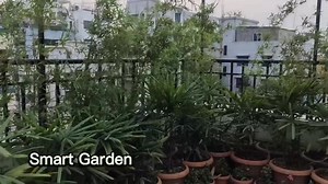 Smart Garden on Reels | Facebook