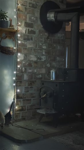 Cold winter night means no one is far from the warmth of the stove 🪵✨ | Candace Ferguson