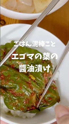 【作り置きおかず エゴマの葉の醤油漬け】 #shorts #簡単レシピ #ケンニプチャンアチ #簡単レシピ #韓国家庭料理レシピ #簡単韓国料理 #깻잎장아찌 #日韓夫婦