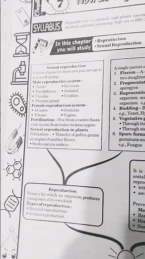 mind mapping class 10th science chapter 7