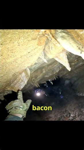 Exploring Kentucky's hidden underground world! 🦇 #caving #caveexploration #caveexploring