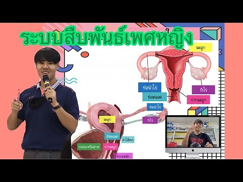 ระบบสืบพันธ์เพศหญิง วิชาสุขศึกษา ม.6