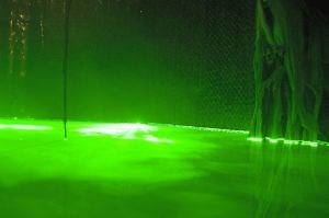 Laser Swamp - Home Haunter Package