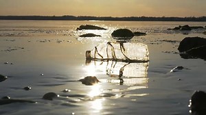 Netherlands welcomes US return to the climate change debate