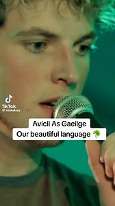 422K views · 9.5K reactions | Our beautiful language  | IRISH STUFF | Facebook