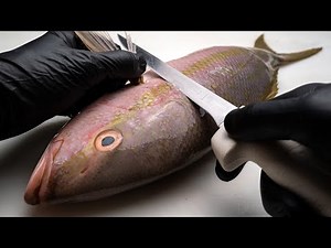 How to Fillet a Small Fish