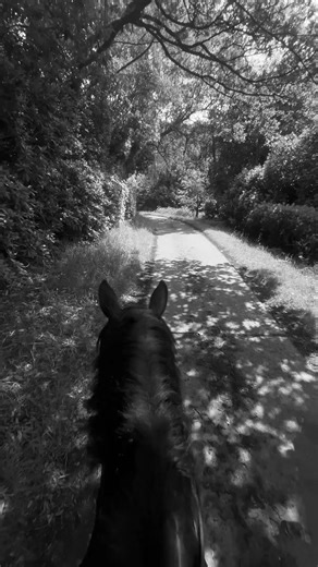 A year of learning, growing, juggling everything… and slowly finding my way back to myself 🤍 Horses, cameras, new ponies, new chapters. #equestrian #equine