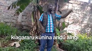 94K views · 2K reactions | Kímwe gía cause ya Cancer gíkúyúiní ní...