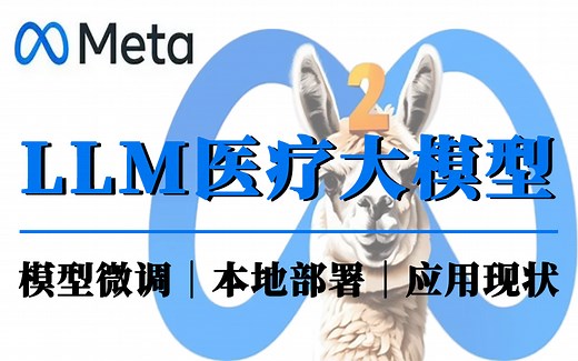 强推！这绝对是目前B站最适合新手入门的【LLM医疗大模型】教程，医疗大模型LLM应用现状及如何微调一个医疗大模型？我竟然一天就搞懂了！