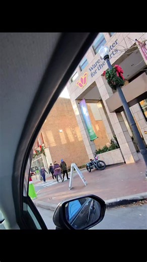 Left me too stunned to speak 😭😭😭😭 #amishcountry #grinch #lancasterpa #metaglassespov #fblifestyle | Laura in Amish Country