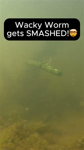 Deadly Wiggle 🪱 Wacky Worm Underwater 🎣