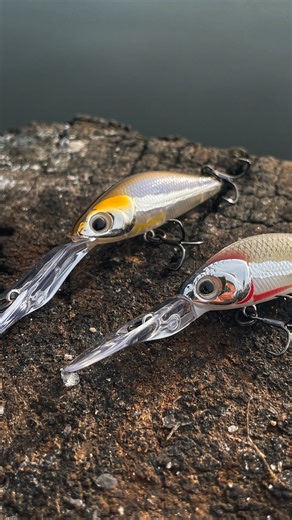 Fishing structure?🔥 The NEW Redic DS40 & MS40 features a Long Cast Weight Transfer System and comes armed with Decoy hooks and terminals ☠️ Visit our website and check them out PLUS learn a SNEAKY pro technique from @jamies_gonefishing Head into your local tackle Samaki stockist and check them out. #samakifishing #redic #breamfishing | Samaki