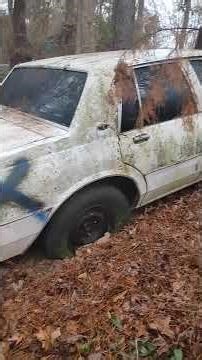 1988 caprice classic SAT FOR 10 YEARS IN WOODS